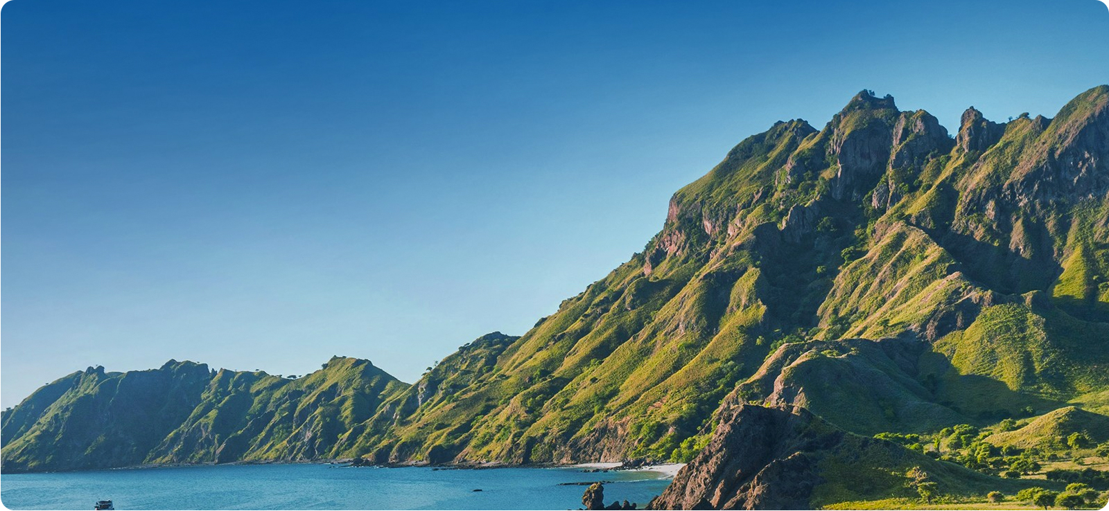 金年会·金字招牌诚信至上 |有限公司的绿色承诺及行动